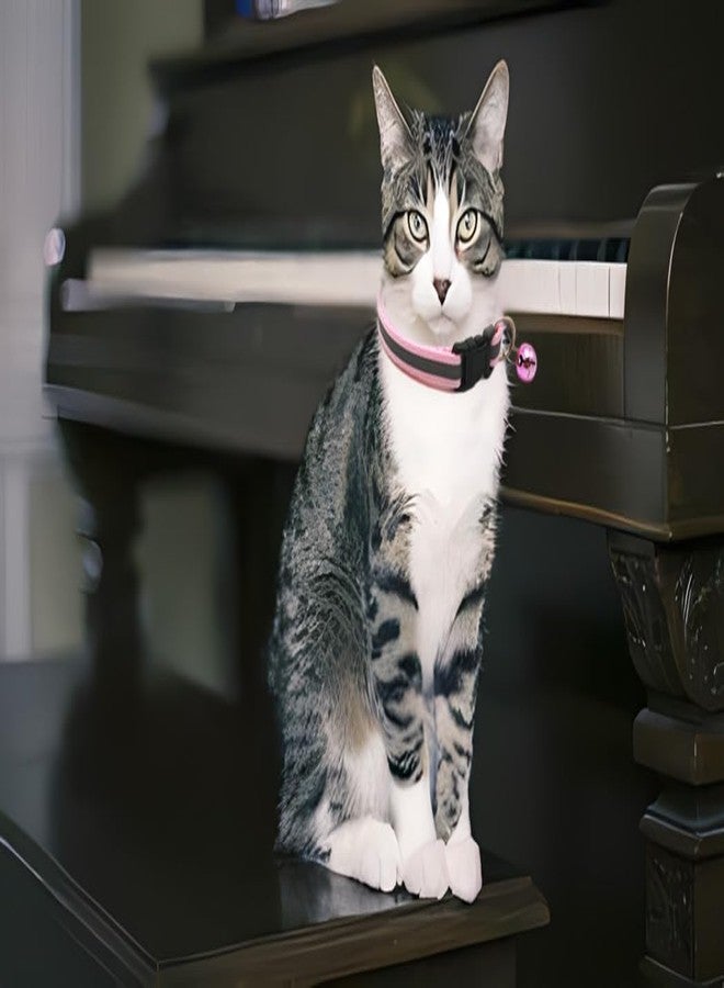 Weimostar Reflective XS Cat Collar with Bell, 2 Pack Puppy Collars Adjustable for XS XSmall Extra Small Tiny Little Dogs Pet Boy Girl Female Kitten Pink and Purple - Image 3
